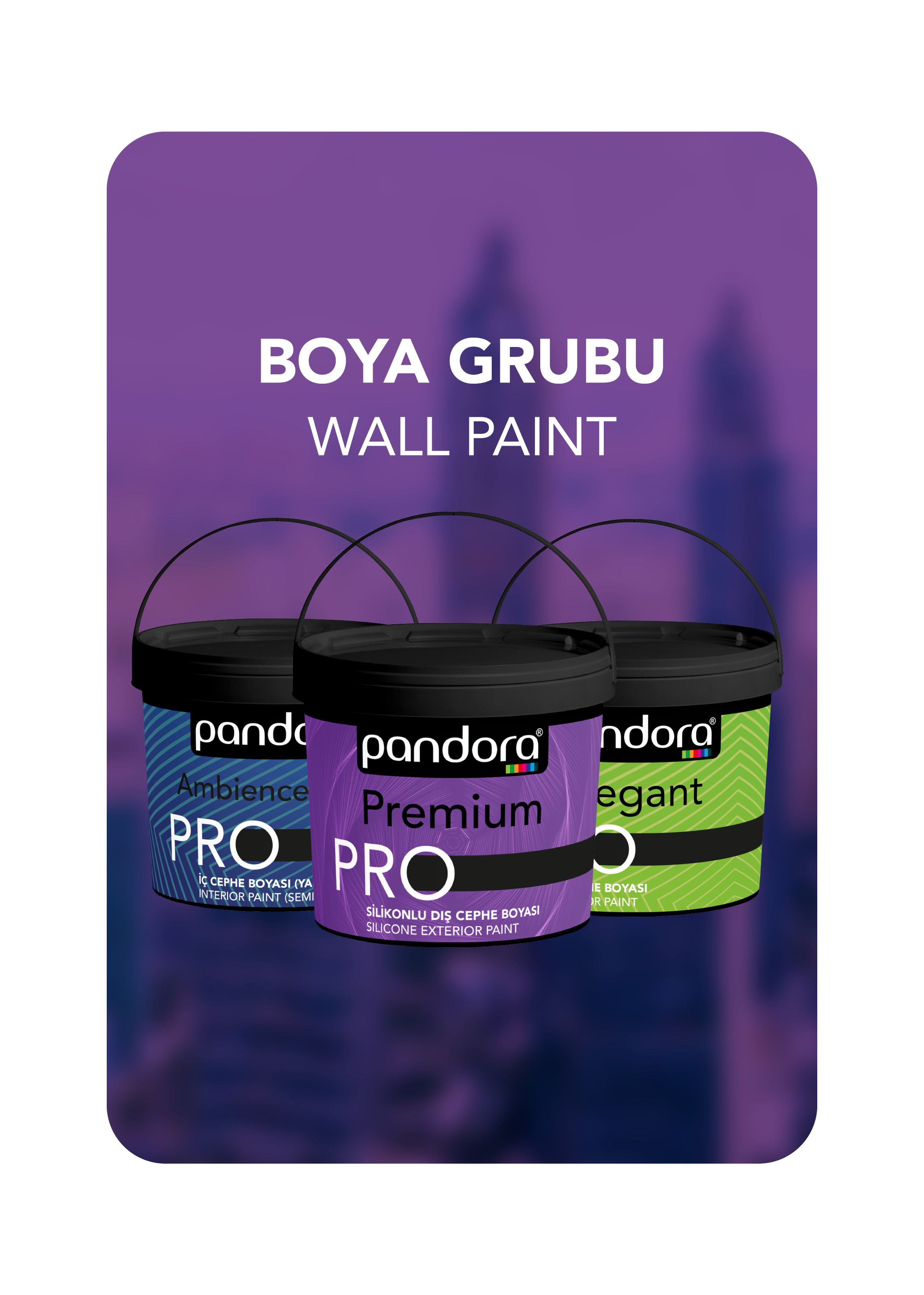 Boya Grubu